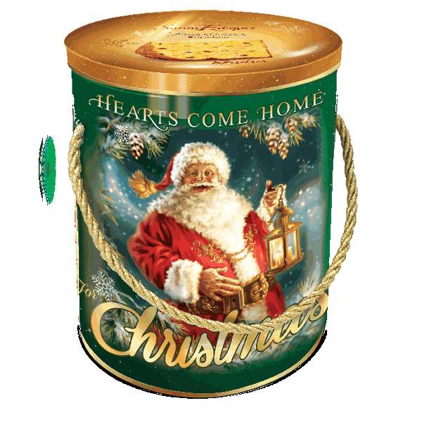 Panettone Frutas Santa Edwiges Lata 750g