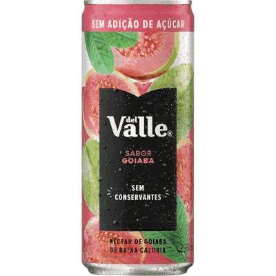 Suco Sabor Goiaba Del Valle Lata 290ml Fardo com 6 unidades